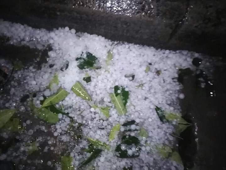 काेहलपुरमा असिनासहित भिषण वर्षा