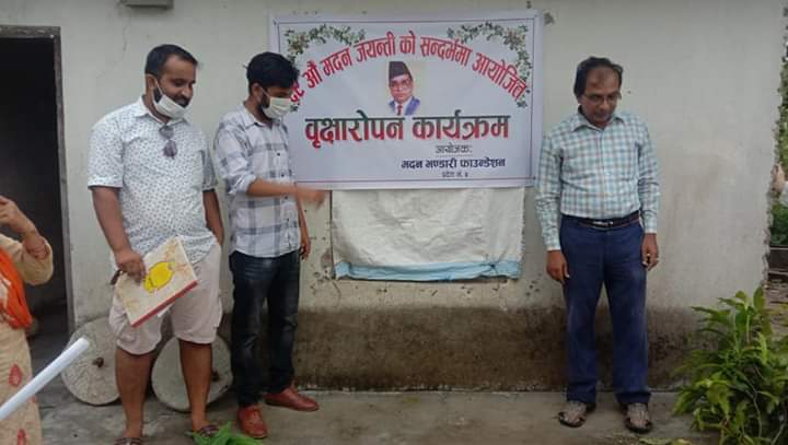 मदन भण्डारी फाउन्डेसनको आयाेजनामा काेहलपुरमा बृक्षाराेपण