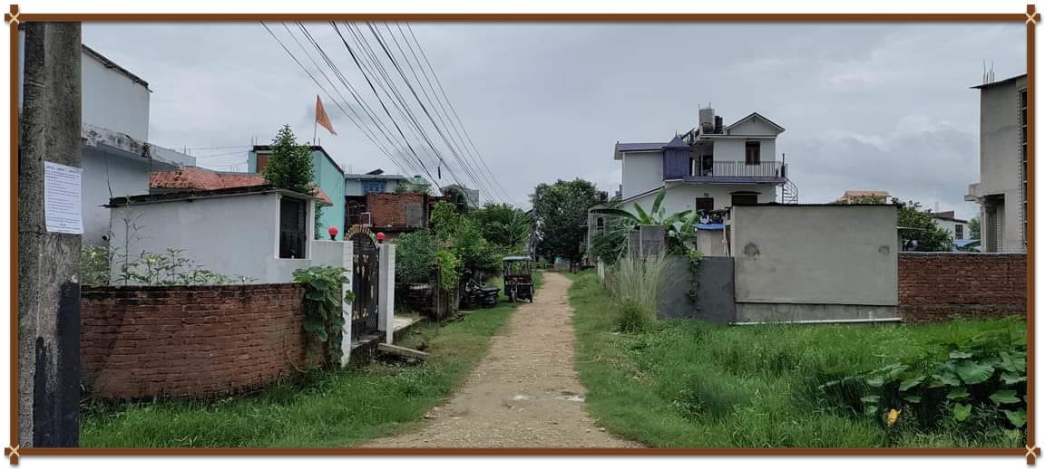 नेपालगन्जकाे तेजनगरमा टाेल सुधार समिति गठन