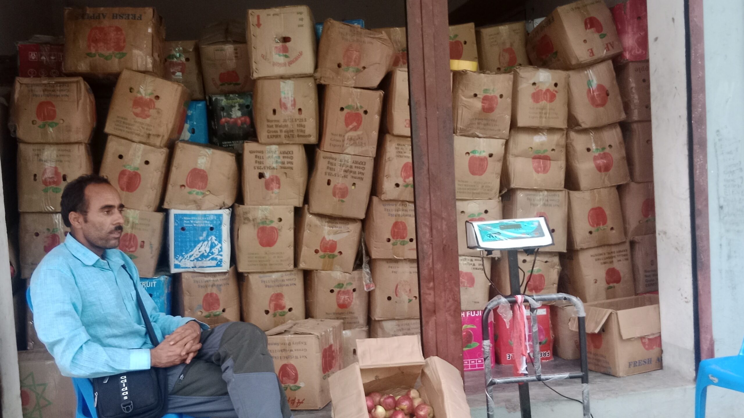 काेहलपुरमा जुम्ली स्याउ आएपछि भारतीय स्याउ विस्थापित